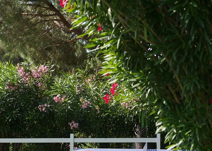 Domaine Du Calidianus